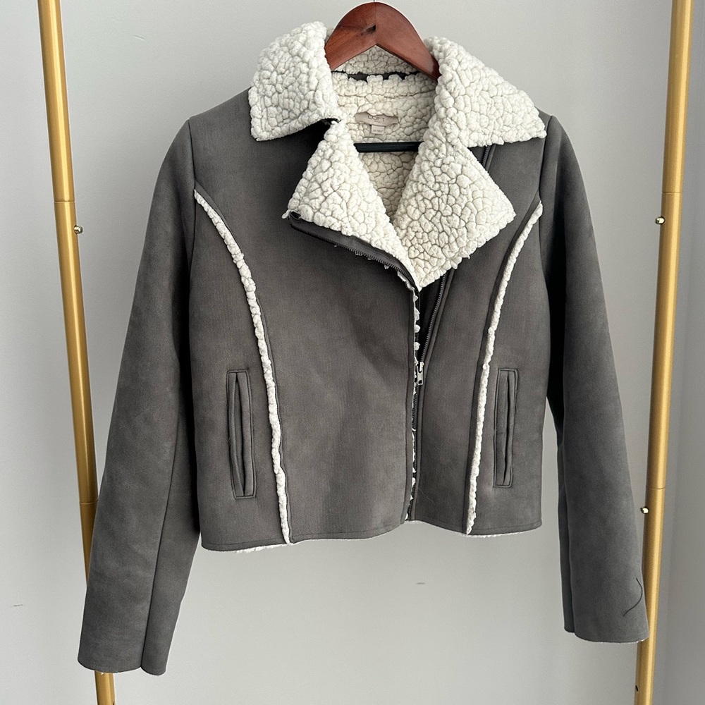 Anne Taylor Loft Cozy Soft Moto Jacket